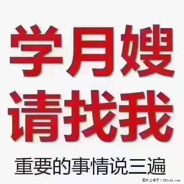 为什么要学习月嫂，育婴师？ - 其他广告 - 广告专区 - 南阳分类信息 - 南阳28生活网 ny.28life.com