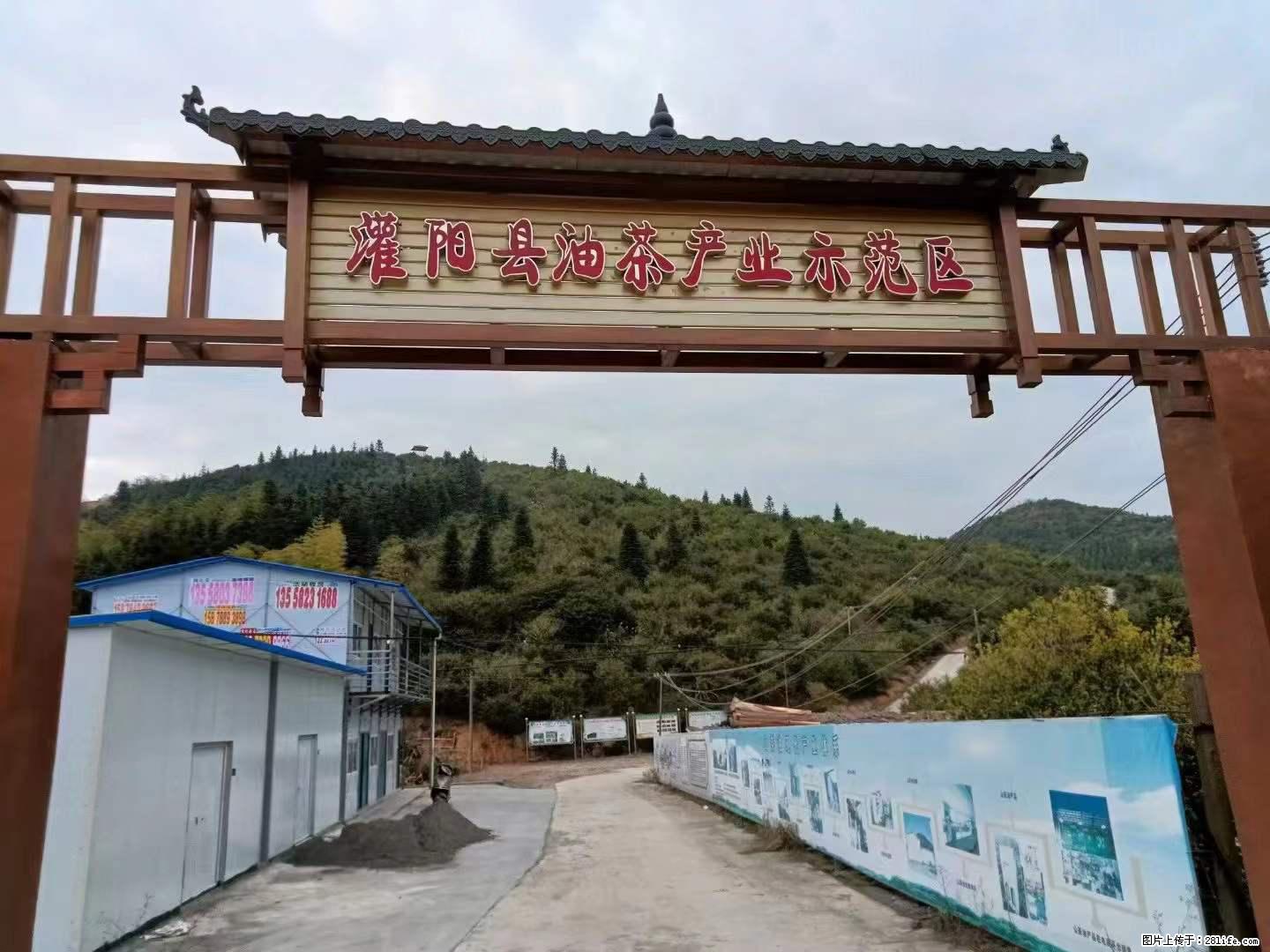 【灌阳县油茶产业示范区】一个有着充实的精神生活的人，对待身外之物自会有一种淡泊的态度 - 美食天地 - 南阳生活社区 - 南阳28生活网 ny.28life.com