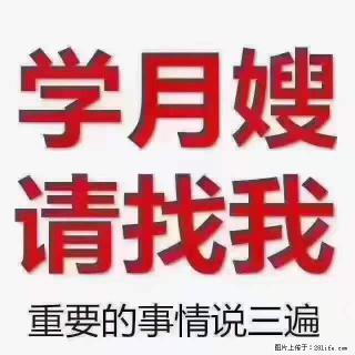 为什么要学习月嫂，育婴师？ - 南阳28生活网 ny.28life.com