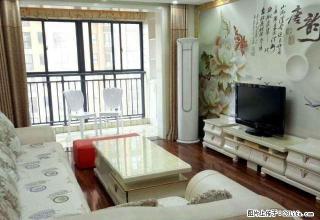 主推 热门小区 兰乔圣菲豪装两室 家电家具全齐 随时看 - 南阳28生活网 ny.28life.com