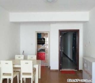 新市政府附近儒林商都旁 三室两厅 家具家电齐全 急租 急租! - 南阳28生活网 ny.28life.com
