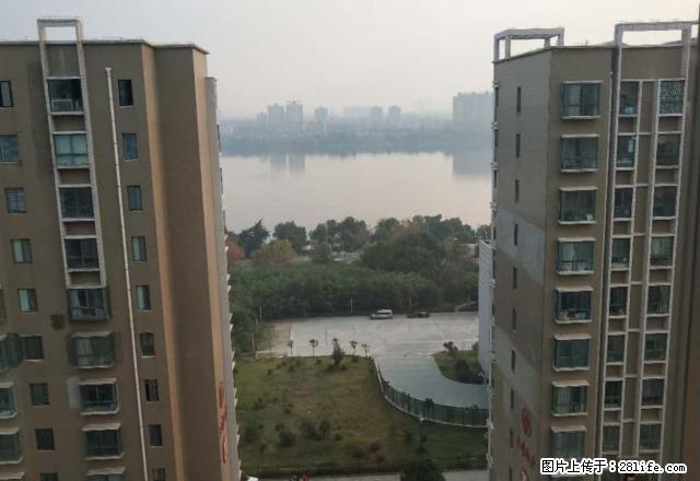 带入户花园观河景 简约大三室 190平米办公 可观河景 - 房屋出租 - 房屋租售 - 南阳分类信息 - 南阳28生活网 ny.28life.com