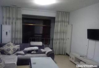 独山大道附近带暖气房源出租，看房方便又钥匙，居住办公均可 - 南阳28生活网 ny.28life.com