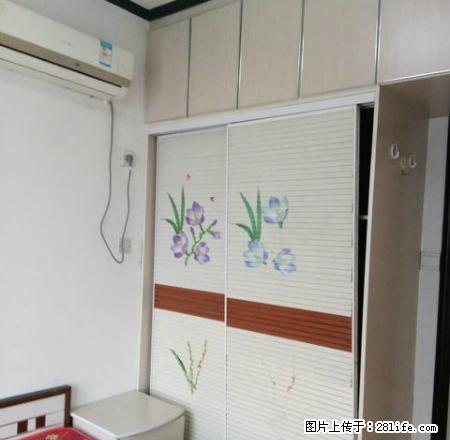 新华城市广场 两室一厅 精装修 拎包入住 出行便利 - 房屋出租 - 房屋租售 - 南阳分类信息 - 南阳28生活网 ny.28life.com