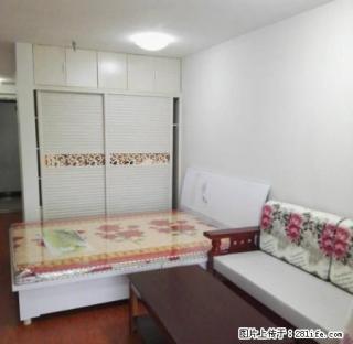 工业路 常绿林溪谷 精装修1200/月 拎包入住 - 南阳28生活网 ny.28life.com