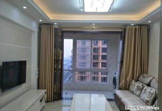 21小附近 3室2厅 精装修 家具家电齐全 新出租 拎包入住 - 南阳28生活网 ny.28life.com