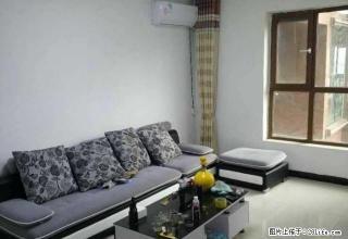 光武路 林溪谷 精装三室 家具家电齐全 拎包入住 看房方便! - 南阳28生活网 ny.28life.com