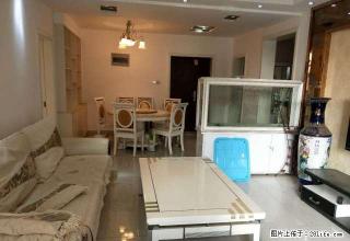 天山路与仲景路国际 豪装两室两厅 全新家具家电 拎包入住仅租 - 南阳28生活网 ny.28life.com