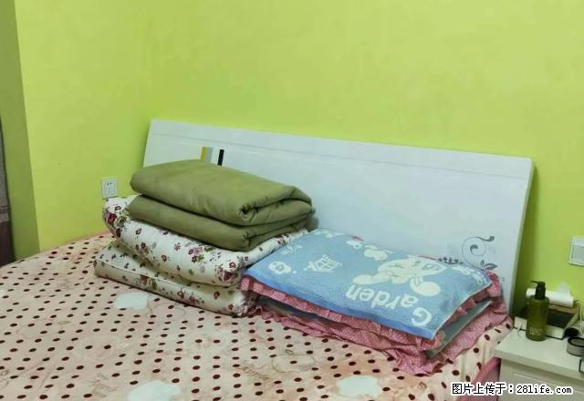 翰林华府,1室2厅,白领的选择,温馨却不拥挤,拎包即可。 - 房屋出租 - 房屋租售 - 南阳分类信息 - 南阳28生活网 ny.28life.com
