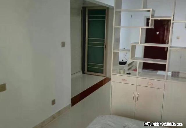工业路 家电大世界旁 精装公寓带家具家电朝阳 温馨一房 - 房屋出租 - 房屋租售 - 南阳分类信息 - 南阳28生活网 ny.28life.com