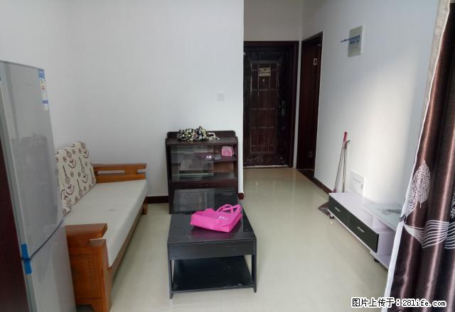 信臣路 三杰盛世城单身公寓全新家具家电齐全拎包入住凤凰城附近 - 房屋出租 - 房屋租售 - 南阳分类信息 - 南阳28生活网 ny.28life.com