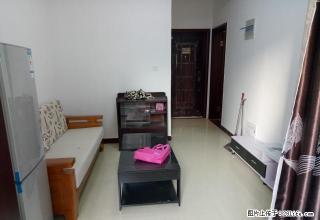 信臣路 三杰盛世城单身公寓全新家具家电齐全拎包入住凤凰城附近 - 南阳28生活网 ny.28life.com