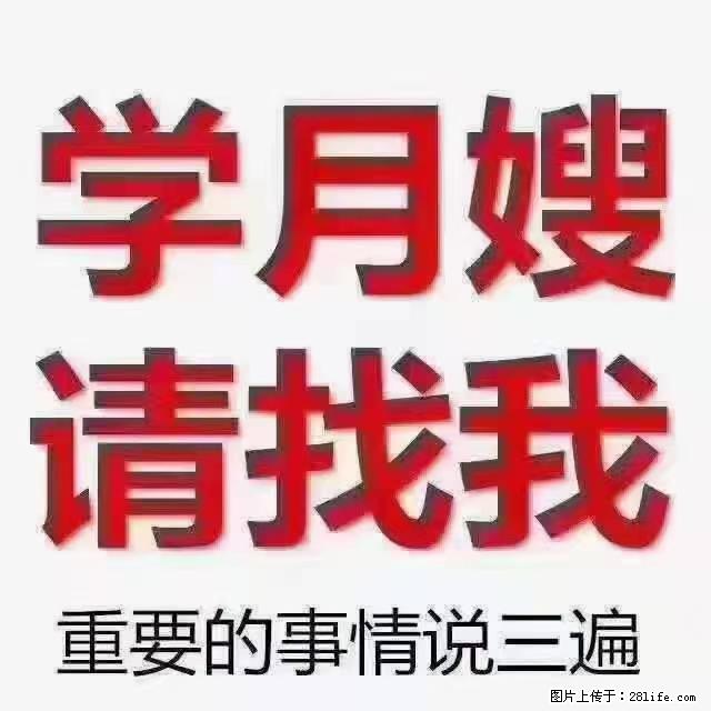 【招聘】月嫂，上海徐汇区 - 职场交流 - 南阳生活社区 - 南阳28生活网 ny.28life.com