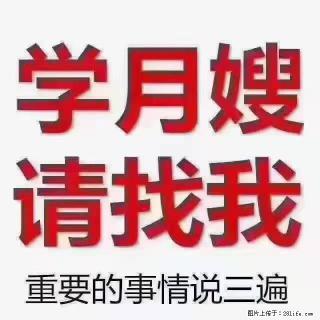 【招聘】月嫂，上海徐汇区 - 南阳28生活网 ny.28life.com