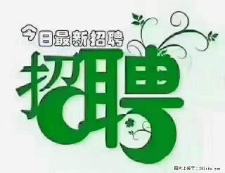 上海青浦区招仓管 - 南阳28生活网 ny.28life.com