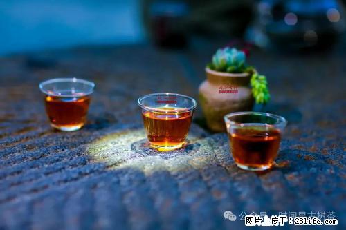 时间果百年古树2025年春红茶 - 购物交流 - 南阳生活社区 - 南阳28生活网 ny.28life.com