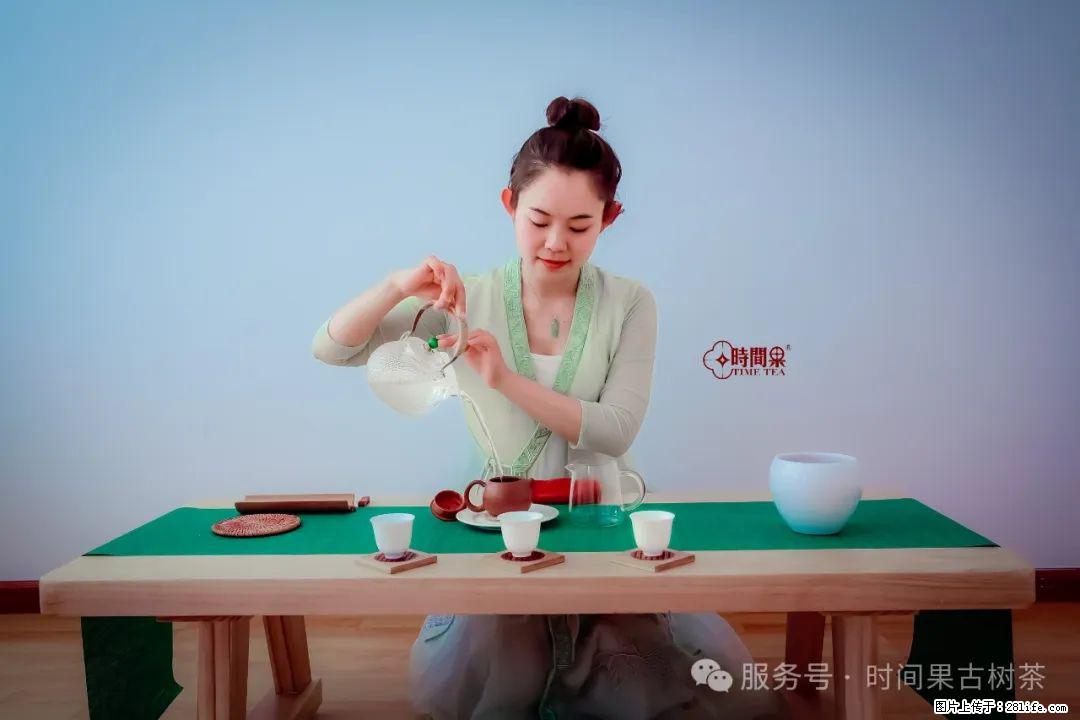 时间果百年古树龙珠普洱生茶 - 购物交流 - 南阳生活社区 - 南阳28生活网 ny.28life.com