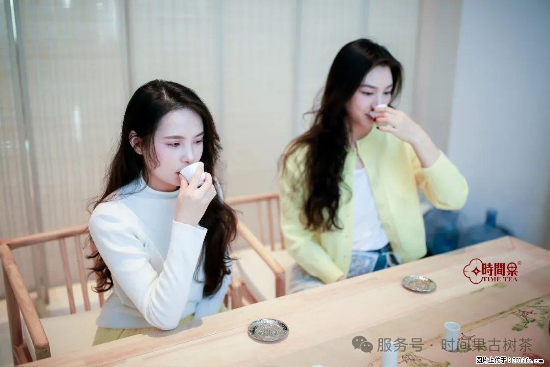 时间果百年古树龙珠普洱生茶 - 购物交流 - 南阳生活社区 - 南阳28生活网 ny.28life.com