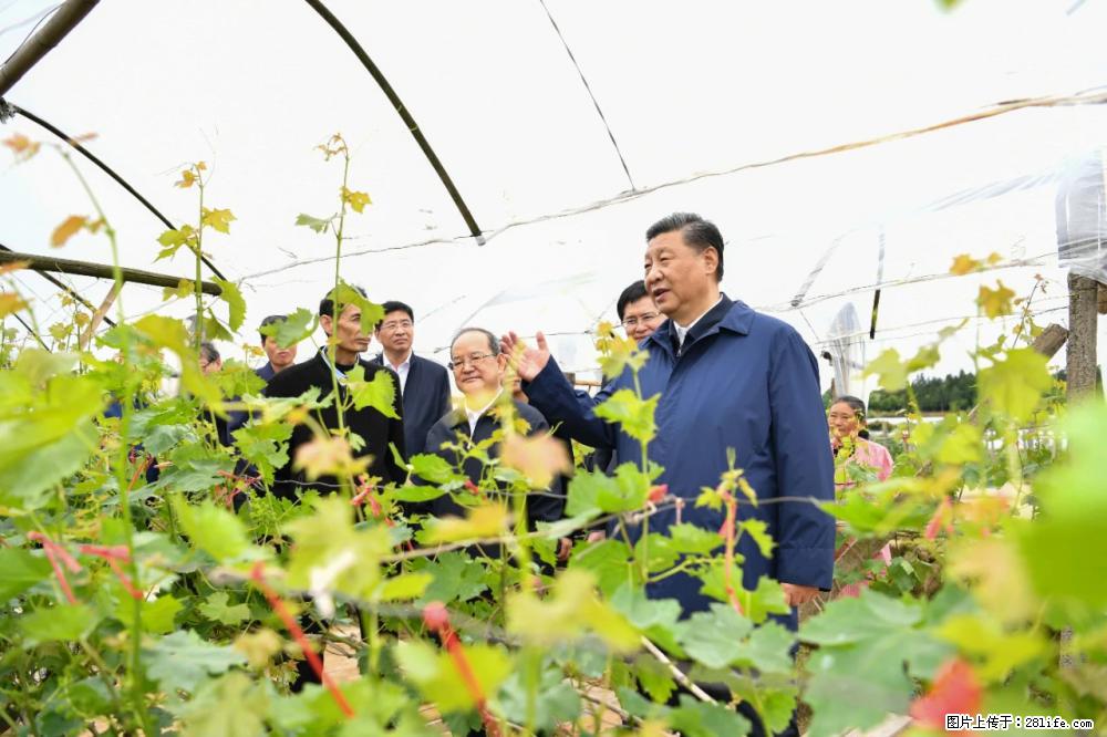 习近平赴广西考察调研 - 南阳生活资讯 - 南阳28生活网 ny.28life.com