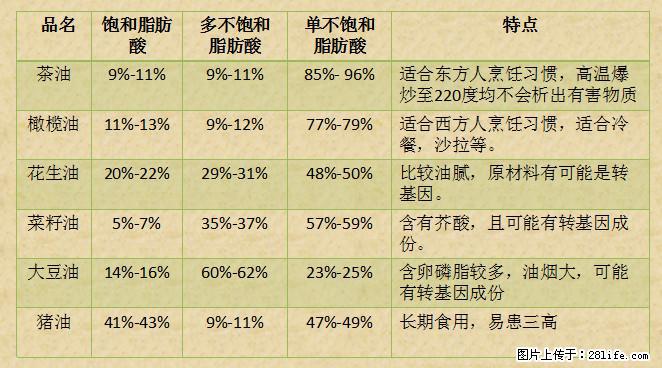 揭秘茶油的5大核心营养成分!被称为人体健康的“守护盾”! - 南阳生活资讯 - 南阳28生活网 ny.28life.com