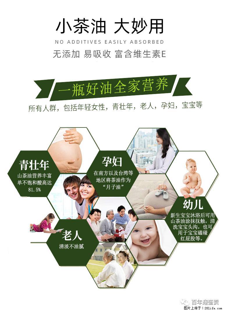 世界没有真相,只有认知,最好的食用油是中国的山茶油! - 南阳生活资讯 - 南阳28生活网 ny.28life.com