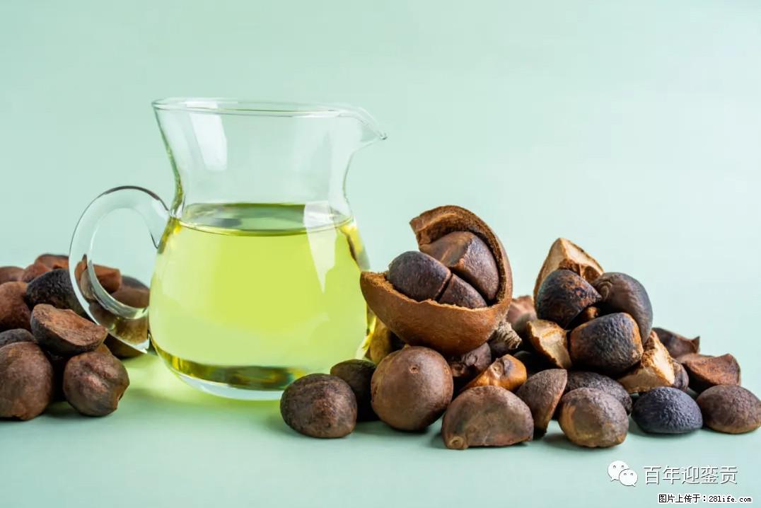 世界没有真相,只有认知,最好的食用油是中国的山茶油! - 南阳生活资讯 - 南阳28生活网 ny.28life.com