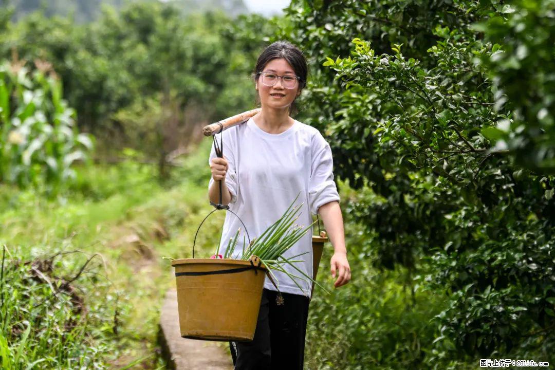 全网追的“扁担女孩”,找了一份暑假工,时薪12元 - 南阳生活资讯 - 南阳28生活网 ny.28life.com