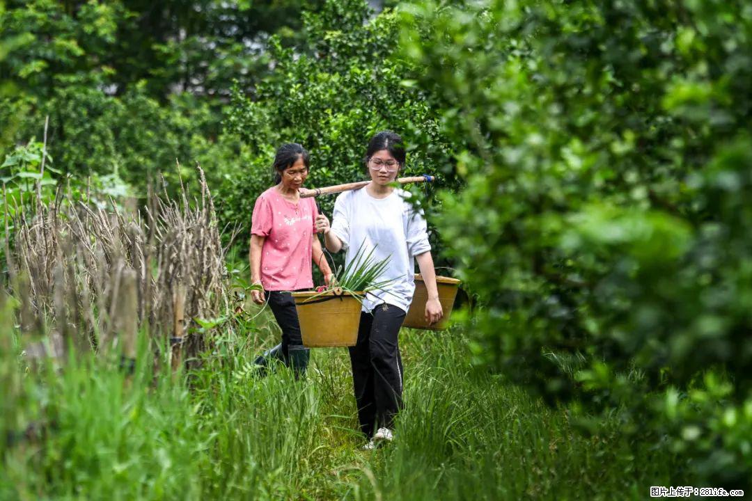 全网追的“扁担女孩”,找了一份暑假工,时薪12元 - 南阳生活资讯 - 南阳28生活网 ny.28life.com