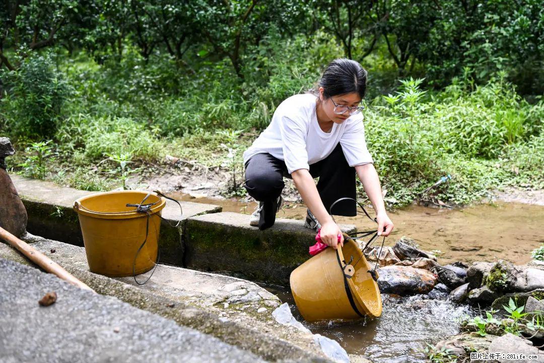 全网追的“扁担女孩”,找了一份暑假工,时薪12元 - 南阳生活资讯 - 南阳28生活网 ny.28life.com