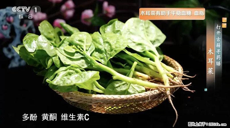 比牛奶补钙还厉害!凉血解毒、稳血糖...这菜冬天必吃,很多人却当草 - 南阳生活资讯 - 南阳28生活网 ny.28life.com