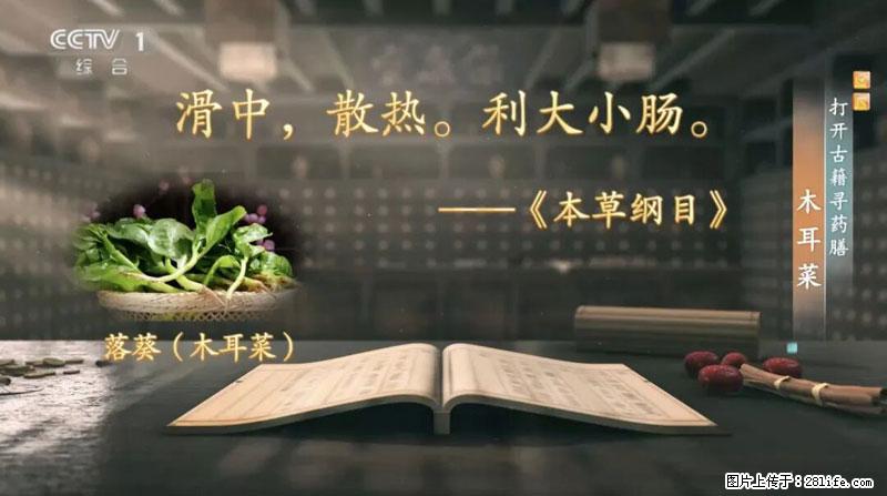 比牛奶补钙还厉害!凉血解毒、稳血糖...这菜冬天必吃,很多人却当草 - 南阳生活资讯 - 南阳28生活网 ny.28life.com