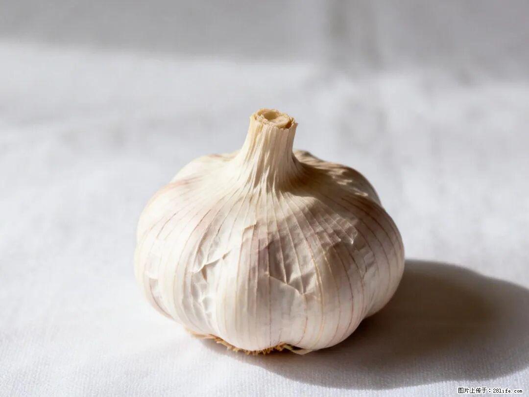 关于大蒜，除了“天然抗生素”，这4个谣言更该警惕! - 南阳生活资讯 - 南阳28生活网 ny.28life.com
