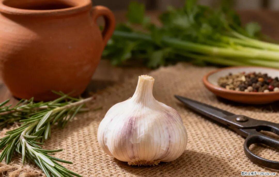 关于大蒜，除了“天然抗生素”，这4个谣言更该警惕! - 南阳生活资讯 - 南阳28生活网 ny.28life.com