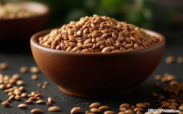 这三苦是三高“克星”，心血管干净不易堵！每天吃一点，指标慢慢降下来~ - 南阳生活资讯 - 南阳28生活网 ny.28life.com