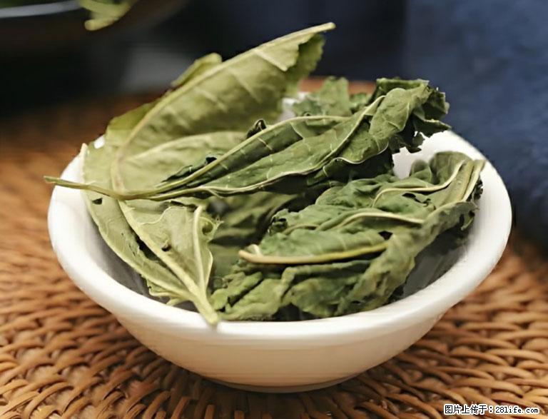 这三苦是三高“克星”，心血管干净不易堵！每天吃一点，指标慢慢降下来~ - 南阳生活资讯 - 南阳28生活网 ny.28life.com