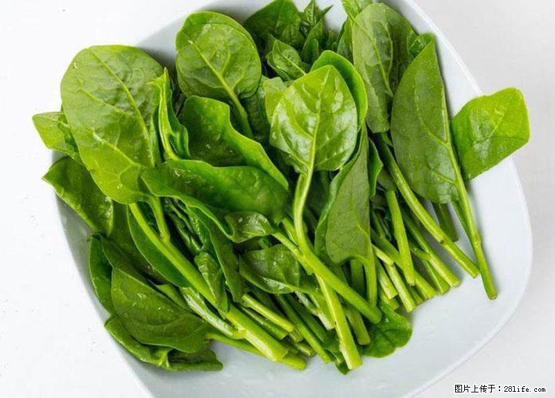这些蔬菜是“天然钙片”，这6种被医生重点推荐 - 南阳生活资讯 - 南阳28生活网 ny.28life.com
