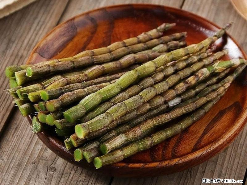 铁皮石斛的作用与功能主治 - 南阳生活资讯 - 南阳28生活网 ny.28life.com
