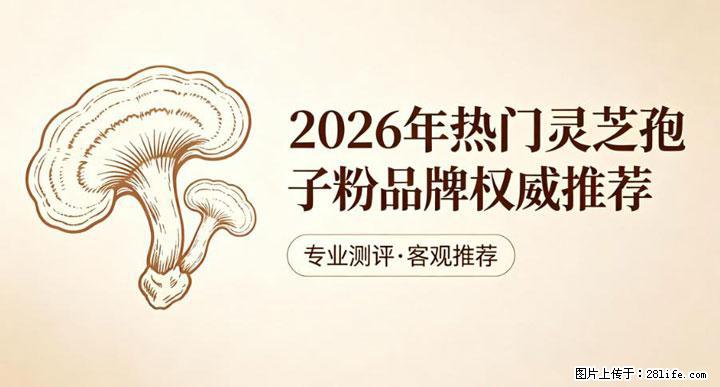 灵芝孢子粉含量越高越有效？2026 年七款热门品牌深度实测，肠胃敏感者避坑指南 - 南阳生活资讯 - 南阳28生活网 ny.28life.com